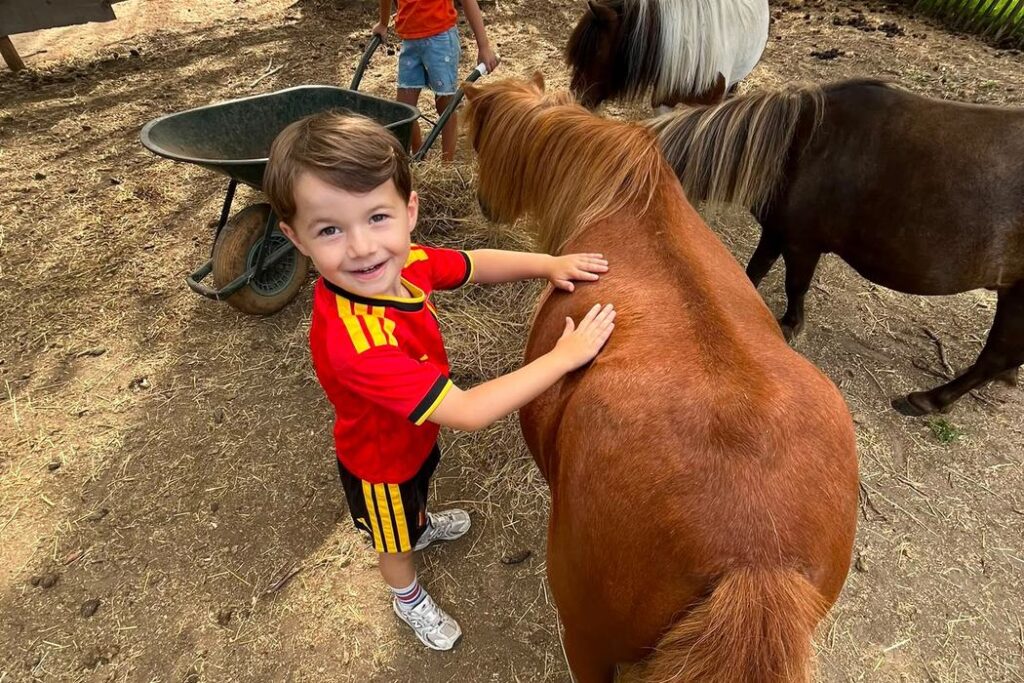 Kleuter aait een pony tijdens het boerderijkamp