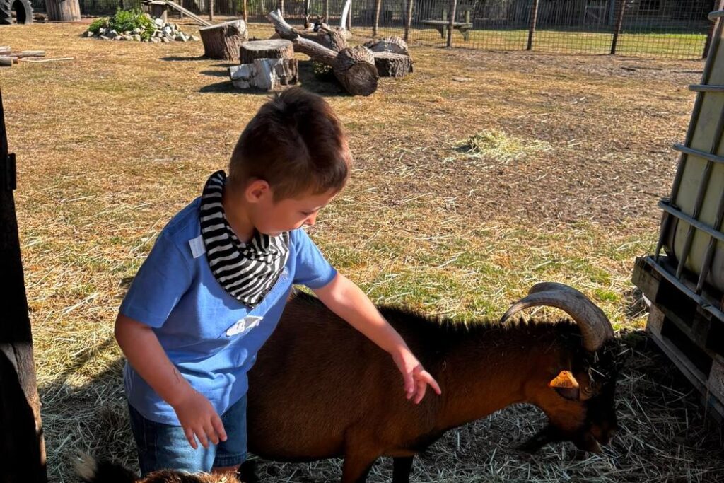 Jongen aait een schaap in de stal tijdens het boerderijkamp